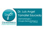 Dr. Luis Ángel Yamallel Saucedo