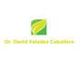 Dr. David Valadez Caballero