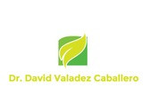 Dr. David Valadez Caballero