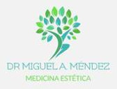 Dr. Miguel Ángel Méndez Fernández