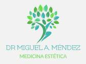 Dr. Miguel Ángel Méndez Fernández