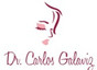 Dr. Carlos Eduardo Pulido Galaviz