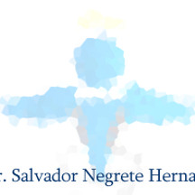 Dr. Salvador Negrete Hernández