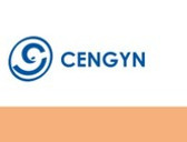 Cengyn