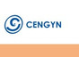 Cengyn