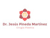 Dr. Jesús Pineda Martínez