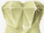 Dr. José Antonio Romero Luna