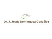Dr. José de Jesús Domínguez González