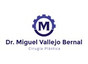 Dr. Miguel Vallejo Bernal