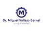 Dr. Miguel Vallejo Bernal