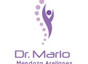 Dr. Mario Mendoza Arellanes