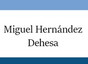 Miguel Hernández Dehesa