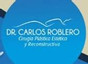 Dr. Carlos Alexander Roblero Rivera