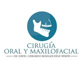 Dr. Dayel Gerardo Rosales Díaz Mirón
