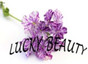 Lucky Beauty