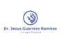 Dr. Jesús Guerrero Ramírez