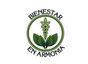 Bienestar En Armonía