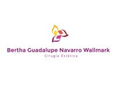 Dra. Bertha Guadalupe Navarro Wallmark