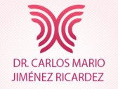 Dr. Carlos Mario Jiménez Ricardez