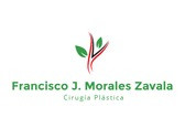 Dr. Francisco J. Morales Zavala
