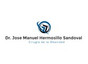 Dr. Jose Manuel Hermosillo Sandoval