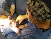 Dra. Zuleyma Lili Juarez Gutierrez