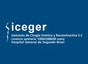 Iceger