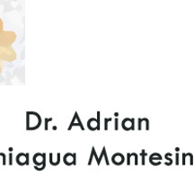 Dr. Adrián Paniagua Montesinos