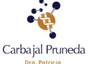 Dra. Patricia Carbajal Pruneda