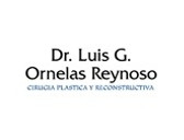 Dr. Luis Gerardo Ornelas Reynoso