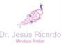 Dr. Jesús Ricardo Mendoza Antillón