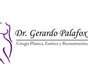 Dr. Gerardo Palafox López