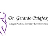 Dr. Gerardo Palafox López