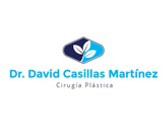 Dr. David Casillas Martínez