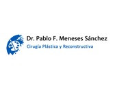 Dr. Pablo F. Meneses Sánchez