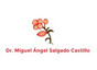 Dr. Miguel Ángel Salgado Castillo