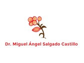 Dr. Miguel Ángel Salgado Castillo