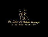 Dr. Julio Alfonso Ortega Ocampo