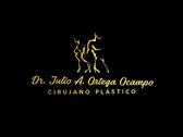 Dr. Julio Alfonso Ortega Ocampo