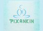 Pixankin