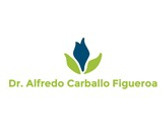 Dr. Alfredo Carballo Figueroa