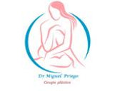 Dr. Miguel Ángel Priego Corona