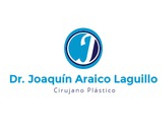 Dr. Joaquín Araico Laguillo