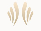 Clínica Dear Skin Mx