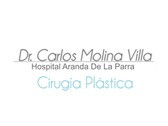 Dr. Carlos A. Molina Villa