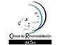 Clínica de Remodelación del Sur