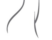 Dr. Jorge Enrique Cabrera Hinojosa