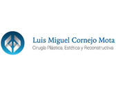 Dr. Luis Miguel Cornejo Mota