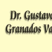 Dr. Gustavo Joel Granados Valencia
