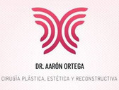 Dr. Aarón Enrique Ortega Pérez